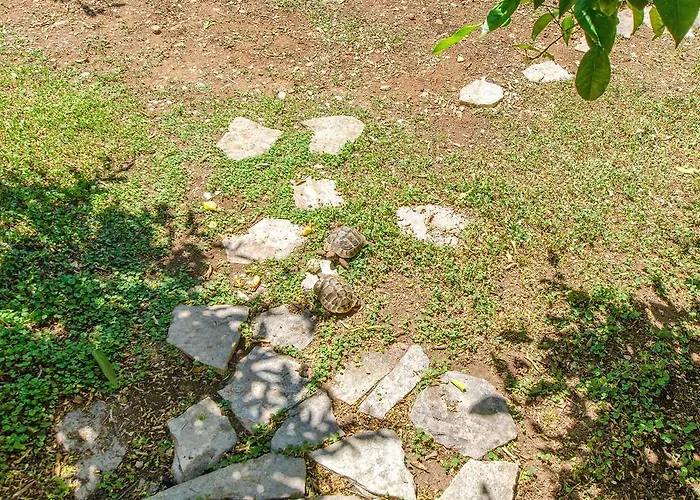 Vojka Διαμέρισμα Milna (Brac)